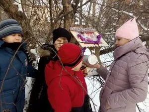 «Покормите птиц зимой»