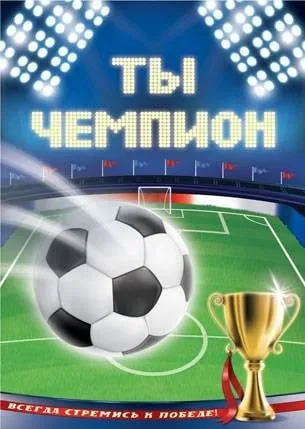 «НАШИ ЧЕМПИОНЫ»