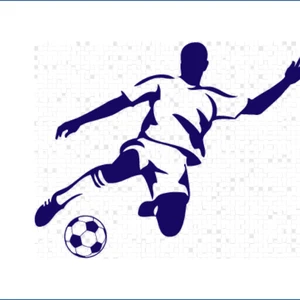 Фестиваль по футболу. Зональные соревнования.