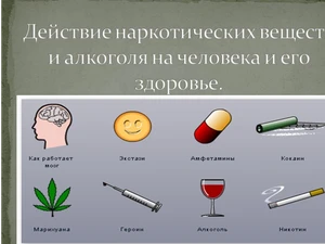 «Пагубное влияние алкоголя и наркотических веществ на организм человека. Правовые аспекты»