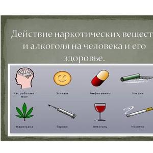 «Пагубное влияние алкоголя и наркотических веществ на организм человека. Правовые аспекты»